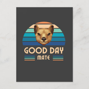 Carte Postale Tassie Tigre Thylacine Tasmanie Loup Rétro