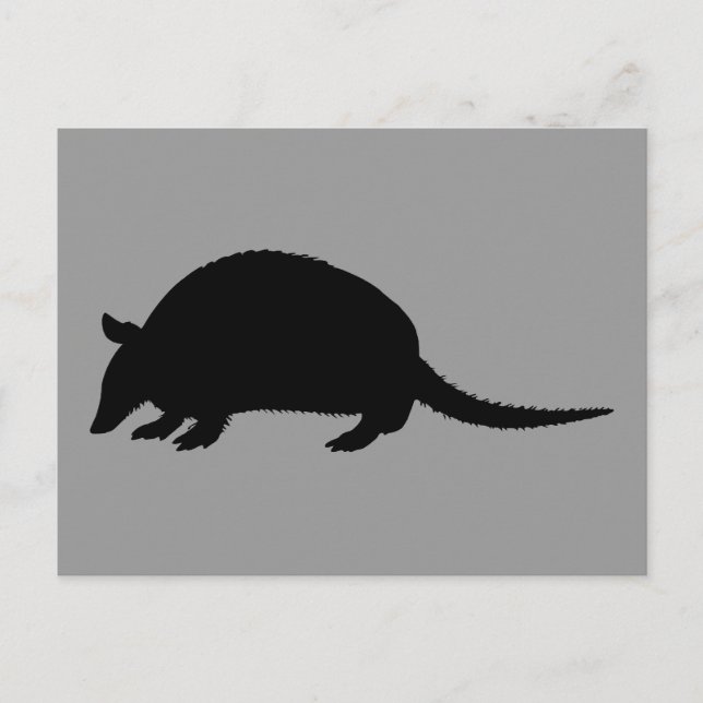 Carte Postale Tatou (Devant)