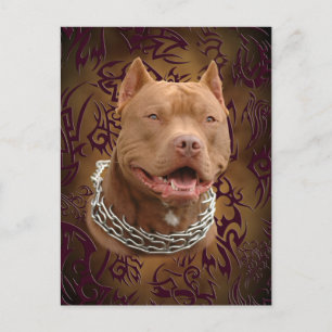 Carte Postale tatouage tribal brun Pitbull
