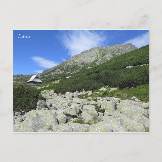 Carte Postale Tatras Pologne Cinq Lacs Valley (Devant)