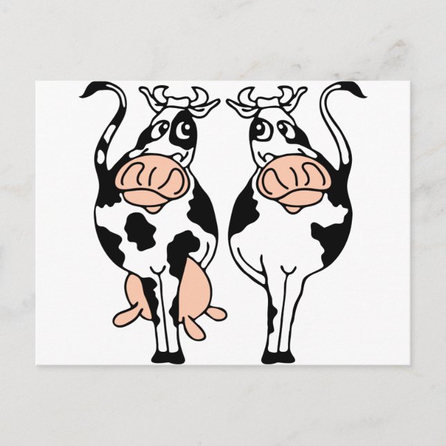 Carte Postale taureau-vache-2.png (Devant)