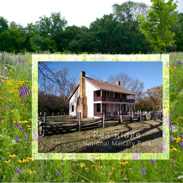 Carte Postale Taverne d'Elkhorn, parc militaire national Pea Rid (Créateur téléchargé)