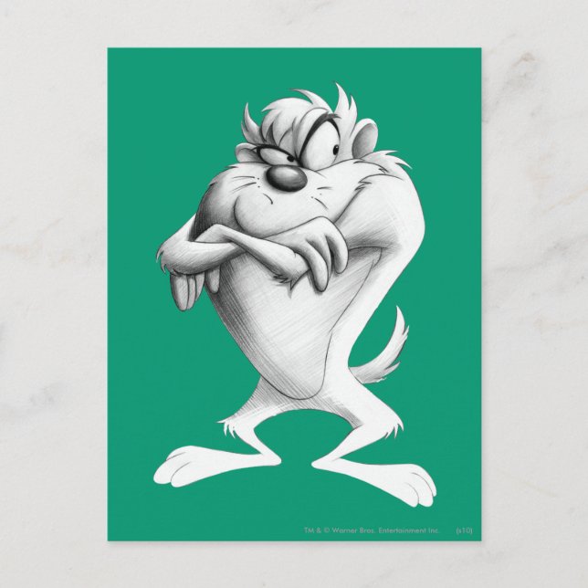 Carte Postale TAZ™ Drawing (Devant)