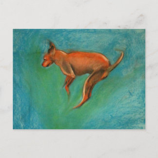 Carte Postale Tazzmaster