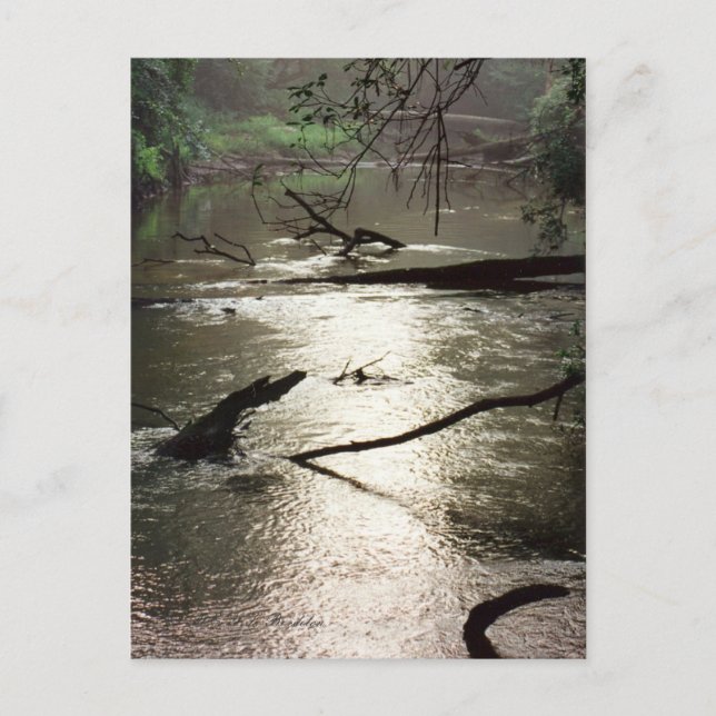 Carte postale Tchefuncte Glimmer (Devant)