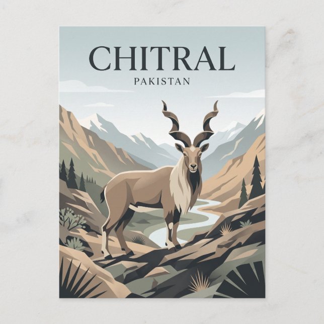 Carte Postale Tchitral Pakistan (Devant)