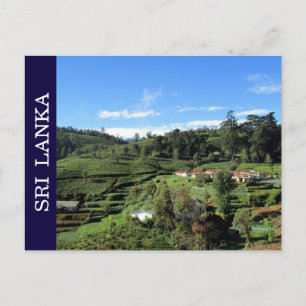Carte Postale tea hills sri lanka