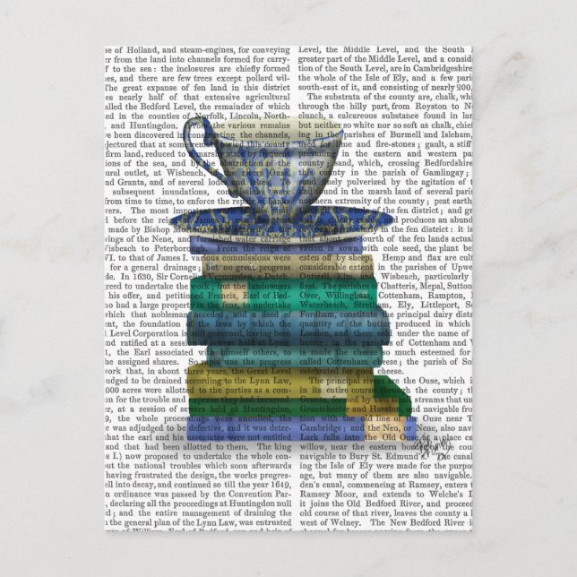 Carte Postale Teacup et livres (Devant)