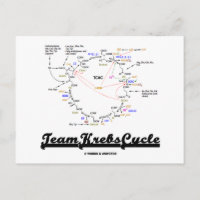 Team Krebs Cycle (Citric Acid Cycle - TCAC)
