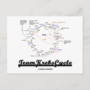 Carte Postale Team Krebs Cycle (Citric Acid Cycle - TCAC)