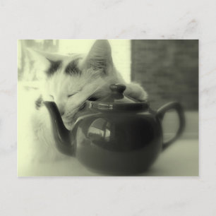 Carte Postale Teapot Pillow