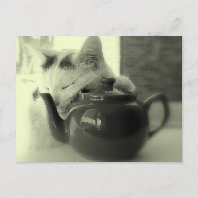 Carte Postale Teapot Pillow (Devant)