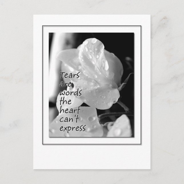 Carte Postale Tears (Devant)