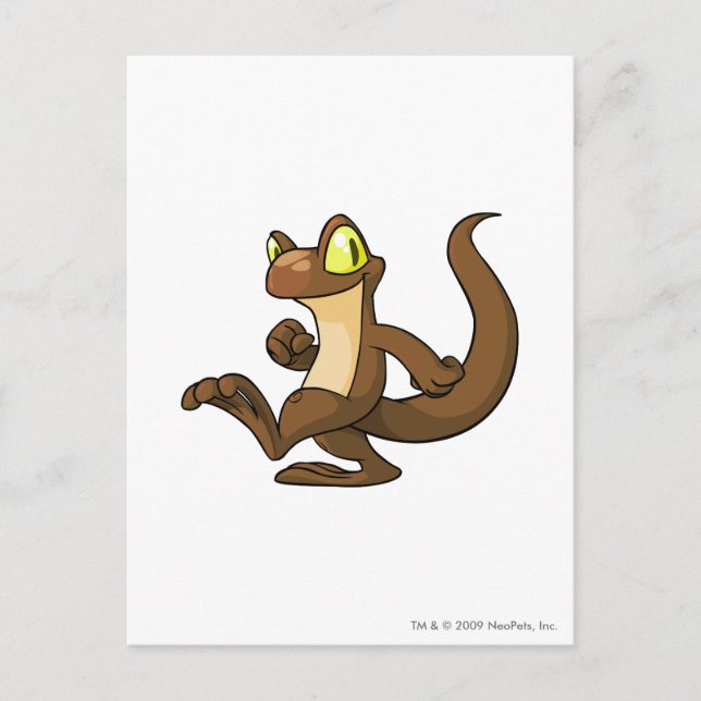 Carte Postale Techo Brown (Devant)