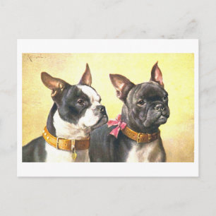 Carte Postale Teckels de Boston vintage