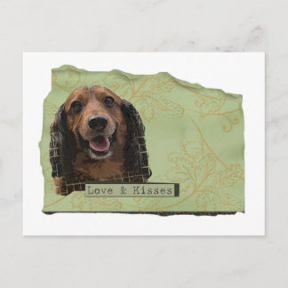 Carte Postale Teckle / Dachshund en vert