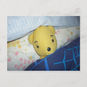 Carte Postale Teddy