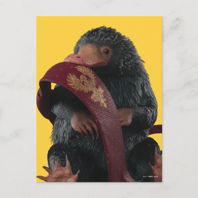 Carte Postale Teddy Avec Cravate Graphique (Devant)