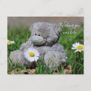 Carte Postale Teddy Bear
