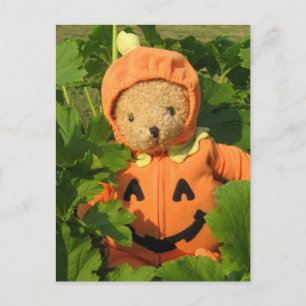 Carte Postale Teddy Bear dans le Patch Citrouille