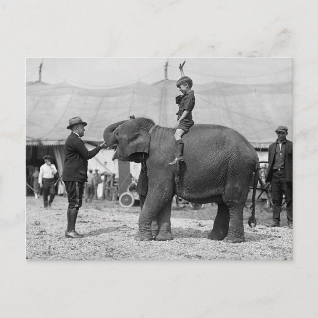 Carte Postale Teddy Roosevelt au cirque : 1924 (Devant)