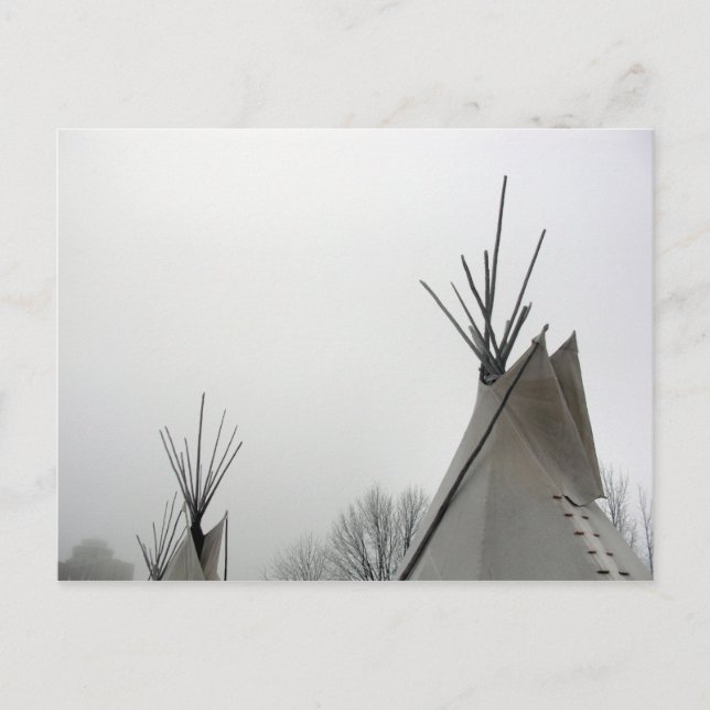 Carte postale Teepepee Tops (Devant)