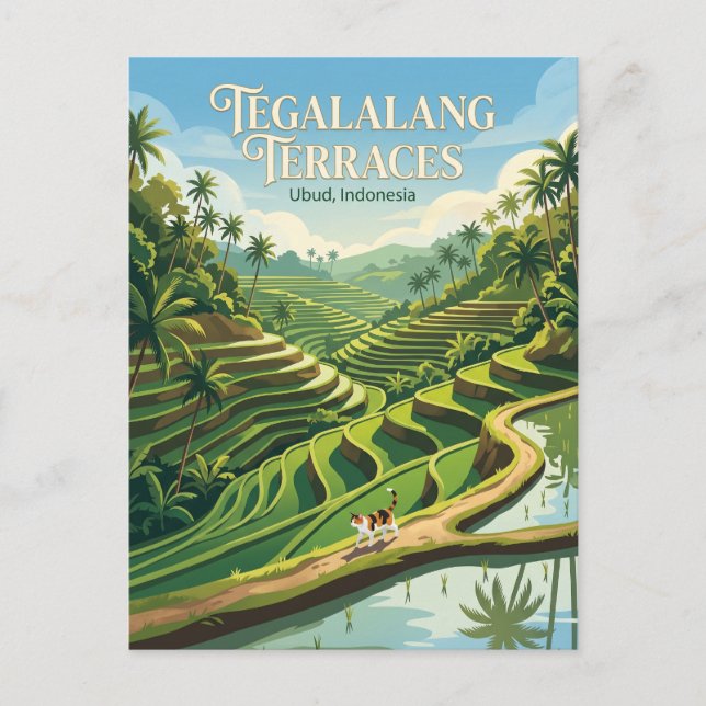 Carte Postale Tegalalang Rizières Indonésie (Devant)