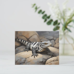 Carte Postale Tegu noir et blanc argentin