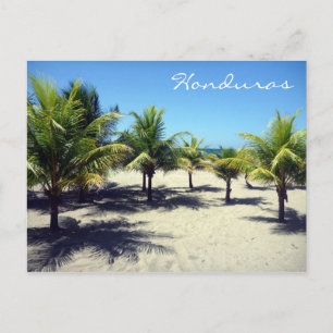 Carte Postale tela palms
