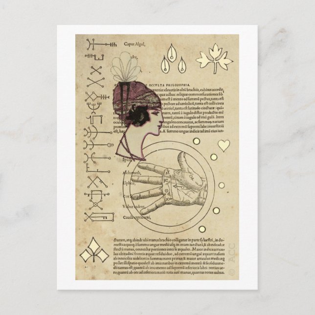 Carte Postale Teller Typsy Fortune (Devant)