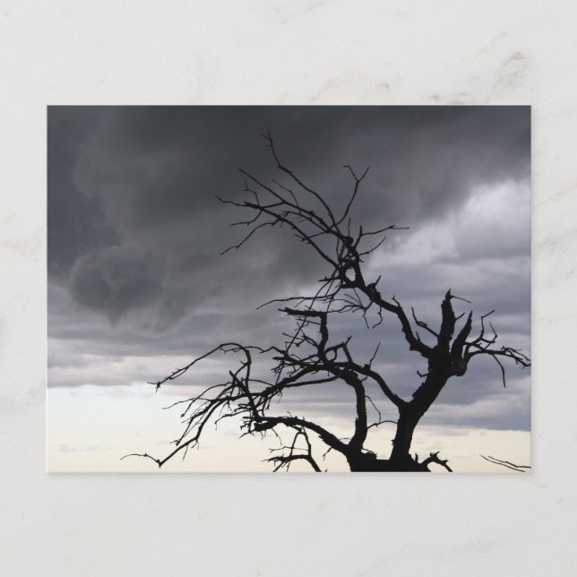 Carte Postale Tempête de Guadalupe (Devant)