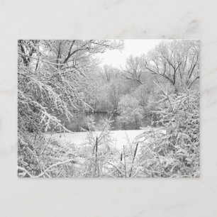 Carte Postale Tempête de neige