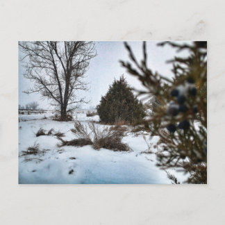 Carte Postale Tempête de neige dans l'hiver du Dakota du Nord