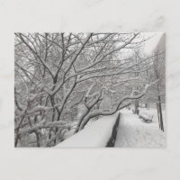 Tempête de neige d'hiver Parc Riverside Arbres New