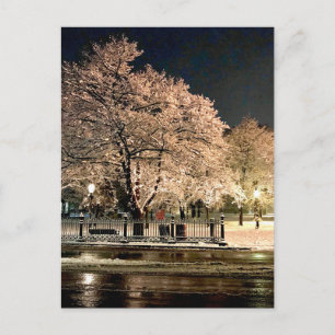 Carte Postale Tempête de neige nocturne Salem Common Massachuset