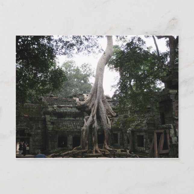 Carte Postale Temple cambodgien dans la jungle (Devant)