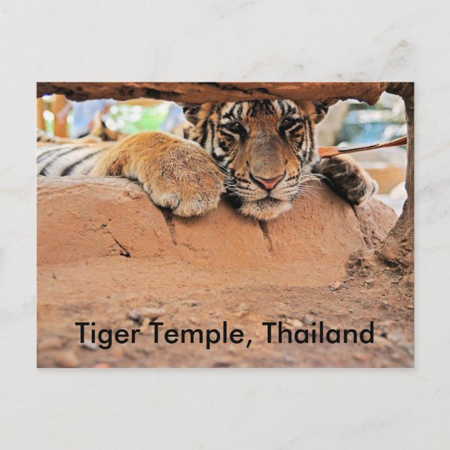 Carte Postale Temple de Tiger (Devant)