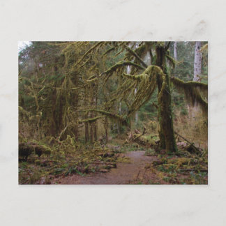 Carte Postale Temple des mousses