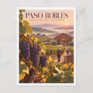 Carte Postale Templeton Gap Vineyard Récolte Paso Robles Voyage