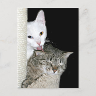 Carte Postale Temps de qualité du partage