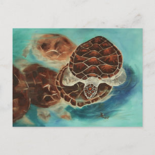 Carte postale Temps Turtle