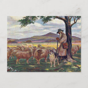Carte Postale Tending the Sheep Vintage