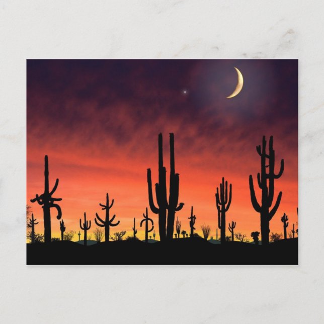 Carte Postale Tenir debout_ (Devant)