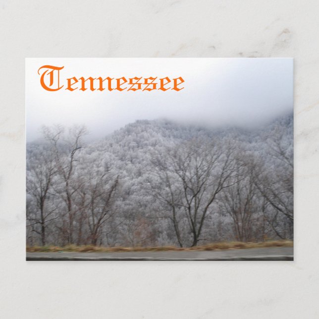 Carte Postale Tennessee (Devant)