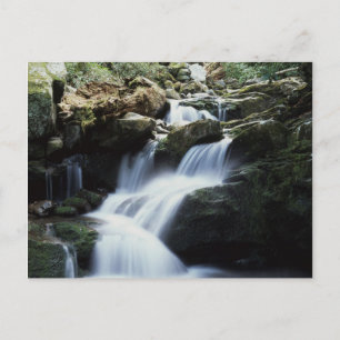 Carte Postale Tennessee, Great Smoky Mountains Parc national 3