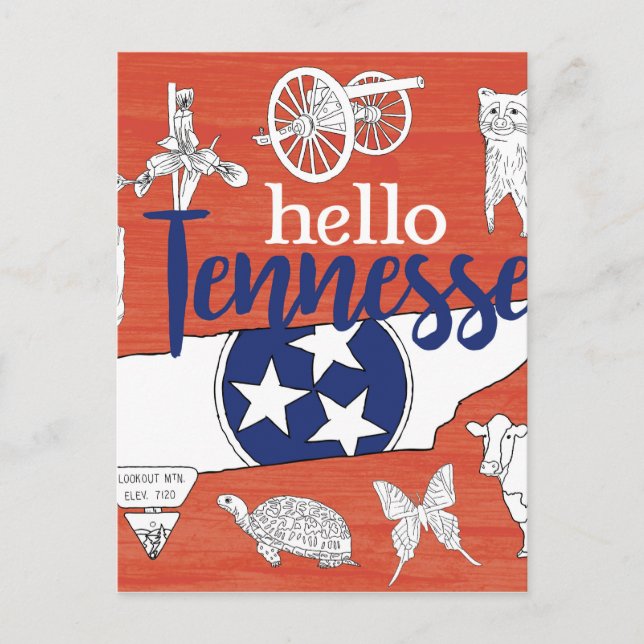 Carte Postale Tennessee State Symbols Volunteer State Images (Devant)