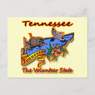 Carte Postale Tennessee The Volunteer State Racoon Flower Bird B