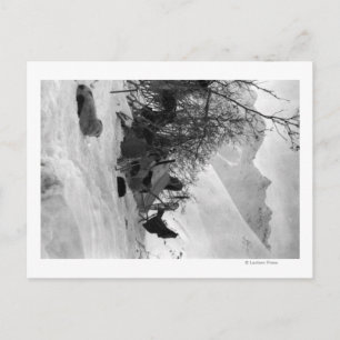 Carte Postale Tente et objets de l'explorateur sur le site du ca