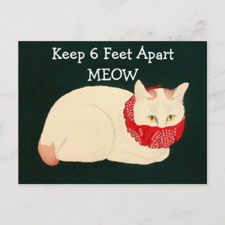 Carte Postale Tenue En Chat 6 Pieds Éparpillés