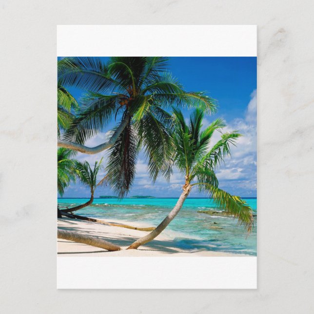 Carte Postale Tepuka tuvalu (Devant)